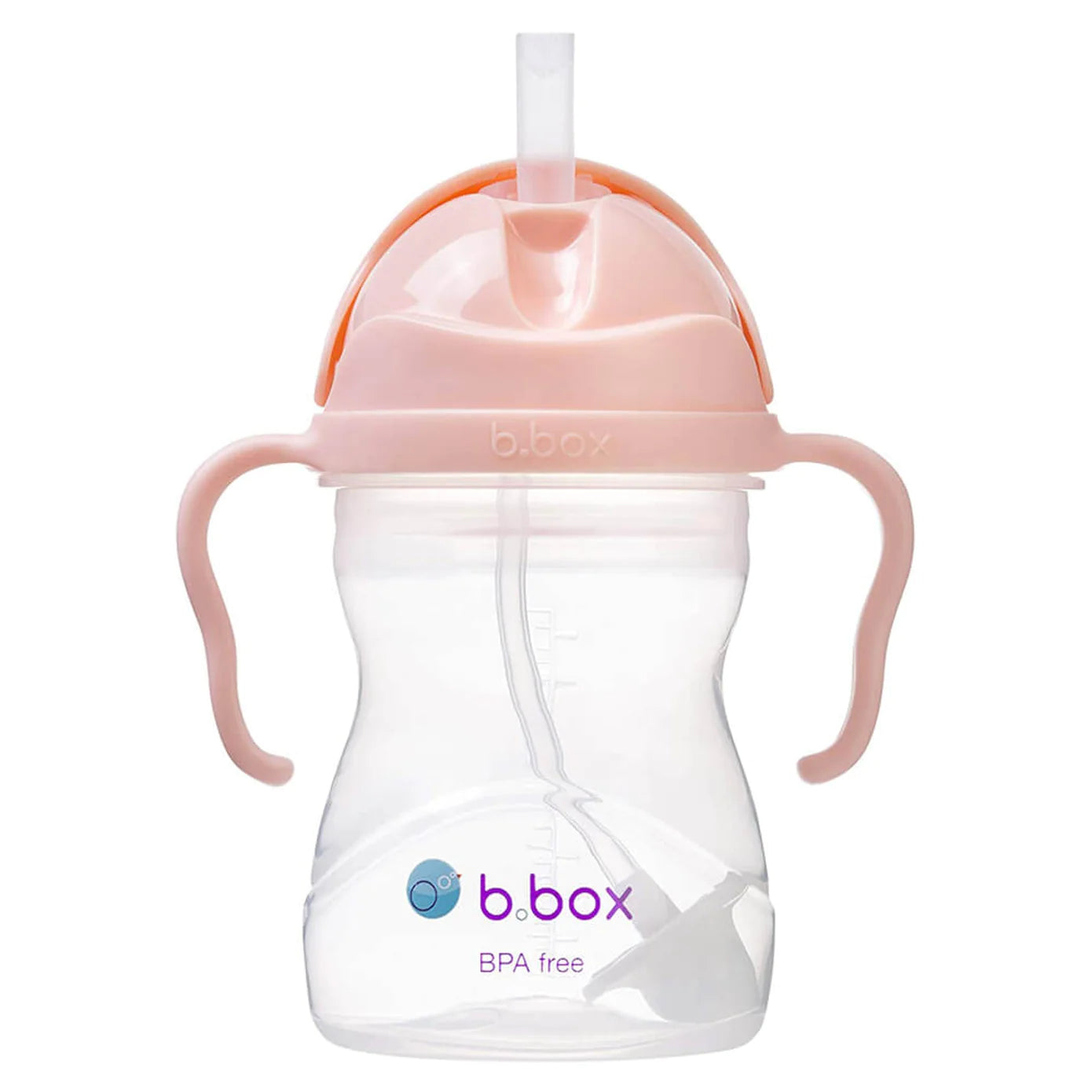 BBOX GELATO SIPPY CUP - TUTTI FRUITI