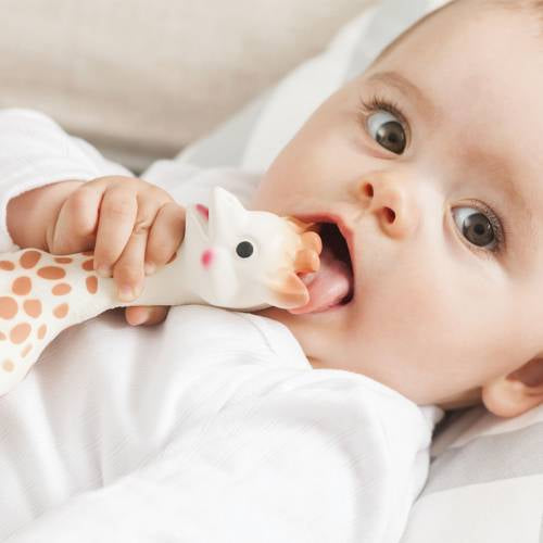 SOPHIE LA GIRAFE - SOPHIE LA GIRAFE