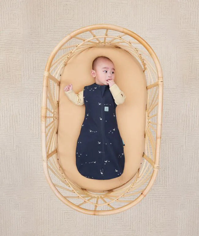 ERGOPOUCH COCOON SWADDLE BAG 1.0 TOG - LUCKY DUCKS