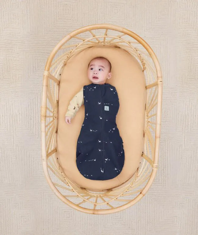 ERGOPOUCH COCOON SWADDLE BAG 1.0 TOG - LUCKY DUCKS
