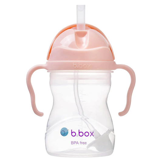 BBOX GELATO SIPPY CUP - TUTTI FRUITI